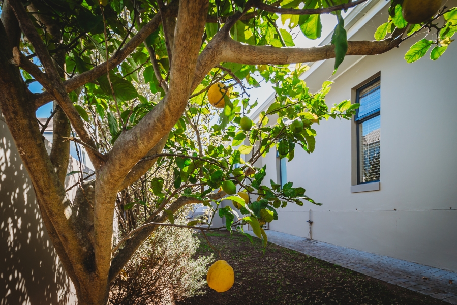 3 Bedroom Property for Sale in Kraaibosch Country Estate Western Cape